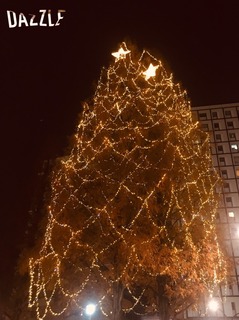 S__35880976.jpg