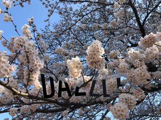 S__36364294.jpg