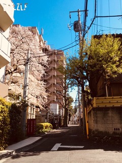 S__38019080.jpg