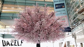 S__39395331.jpg