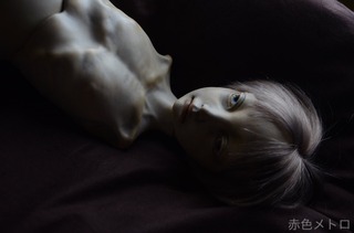 S__39477271.jpg