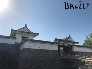 S__47300611.jpg