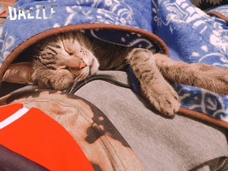 S__47407109.jpg