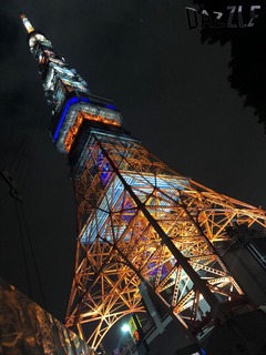 S__51585037.jpg