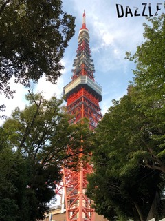 S__51585039.jpg