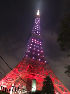 S__51585040.jpg