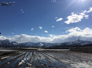 S__53985284.jpg