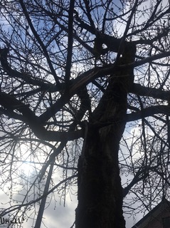 S__53985285.jpg
