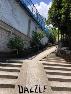 S__72392712.jpg
