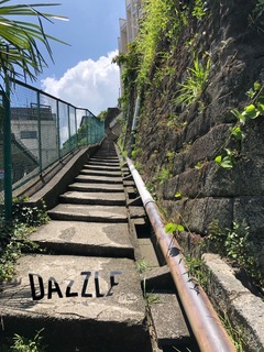 S__72392713.jpg