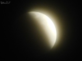 S__9928758.jpg