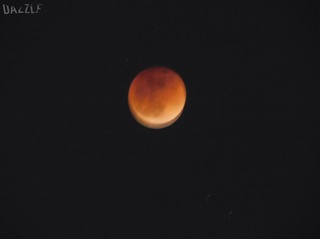 S__9928759.jpg