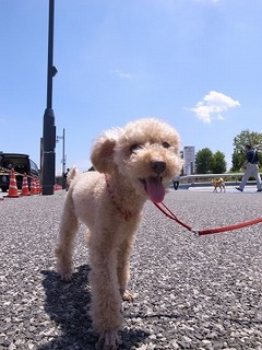 s-R0015080.jpg