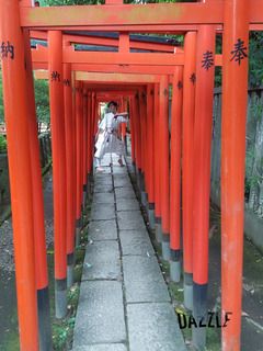 torii.jpg
